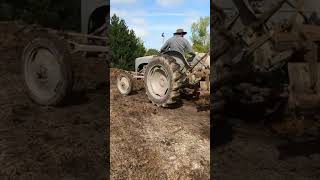 3Pt Linkage Back Blade On My Ferguson Tractor