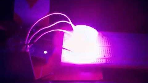 RGB LED Rainbow Blink CAKE