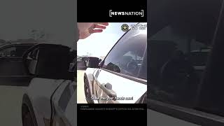 Florida man offers alcohol to officer, arrested after chase