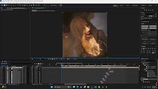 How to make a Copyrights reserved watermark on After Effects!
