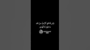 ماهر المعيقلي - سورة النساء ( برواية حفص عن عاصم ) الأية 115