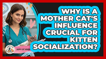 Why Is A Mother Cat