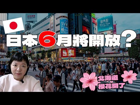 日本6月將開放免簽❕❔網民如何看待?日圓持續貶值帶來的衝擊|北海道春暖櫻花開【日本時事/看法】