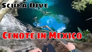 Su-hem Cenote Dive: Underwater Serenity in a Mexico Hidden Cave