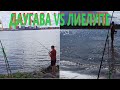Рыбалка в августе / Даугава vs Лиелупе / Вимба клюет по две сразу / Латвия Прибалтика 4к