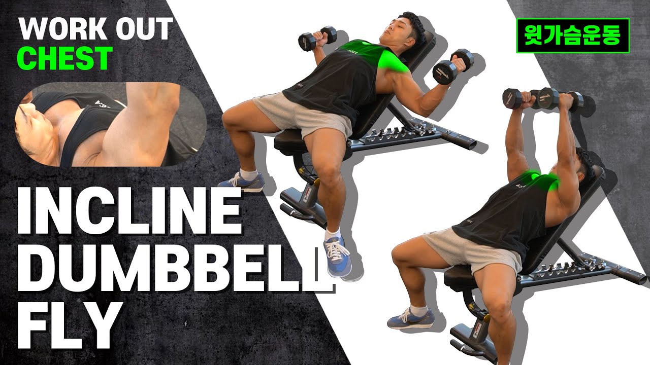 가슴운동] 인클라인 덤벨 플라이 Incline Dumbbell Fly 윗가슴 안쪽 운동 How To Body-Building  Workout / Gym Exersice - Youtube