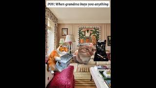 CAT MEMES 🐱 When grandma buys you anything 😂. #catmemes #meme
