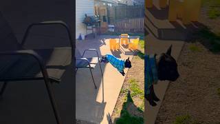 Buddhas One Last Check