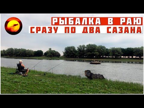 СРАЗУ ПО ДВА САЗАНА НА ОДНУ УДОЧКУ / ВОТ ЭТО РЫБАЛКА В АСТРАХАНИ