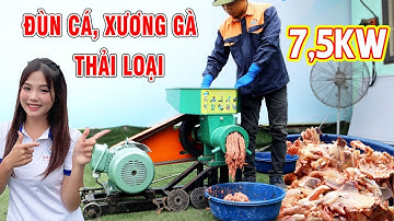 Nguyên Liệu Giá Rẻ Xay Đùn Nhuyễn Với Máy Đùn Cá Công Nghiệp 7.5k Bình Quân