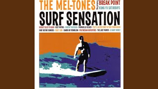 Video thumbnail of "The Mel-Tones - The Perfect Wave"