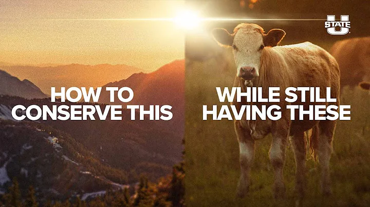 USU Interns Help Local Non-Profit on How to Effectively Manage Rangelands