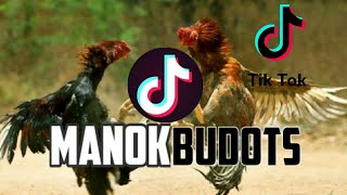 MANOK BUDOTS 2021 REMIX|DJ TAWILWIL