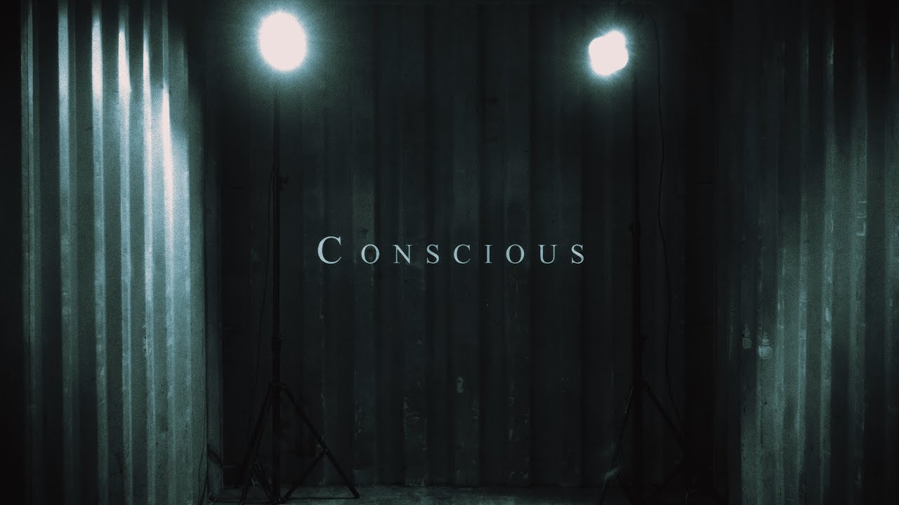Boardwalk - Conscious (Official Music Video)