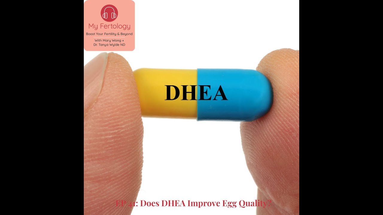 EP 41 Does DHEA Improve egg quality? YouTube