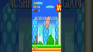 Super Mario In Sonic World