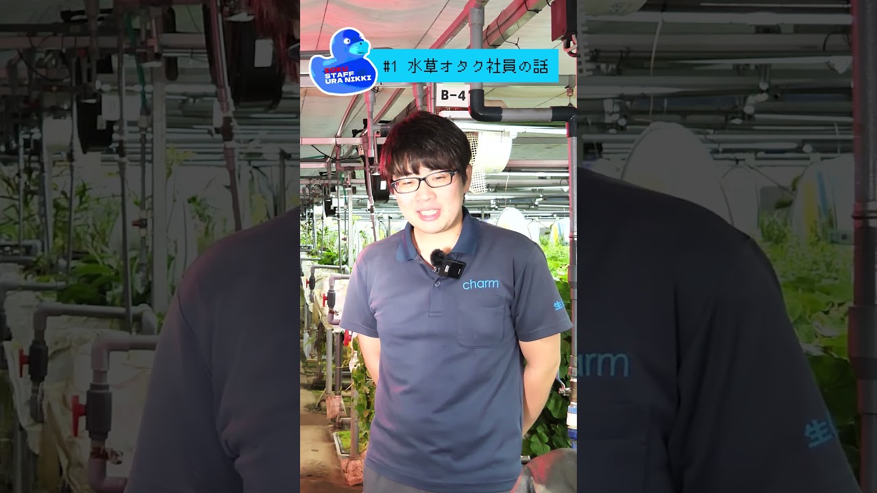 【続・裏日記】#1水族館に就職したかった