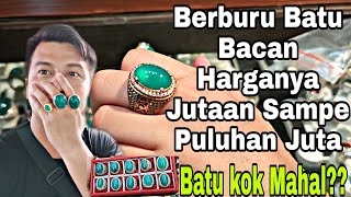 Pesilat Berburu Batu Akik BATU BACAN dirawa Bening, Harganya Jutaan Sampe Puluhan juta???
