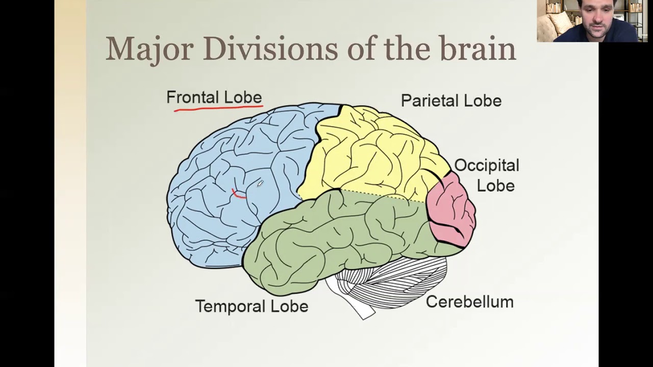 Learning and Memory Lecture - YouTube