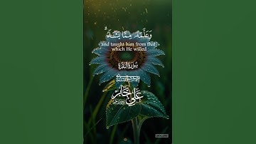 #تلاوة #المصحف #اكسبلور #quran #حالات_واتس #القرآن_الكريم #الشيخ# علي جابر رحمه الله