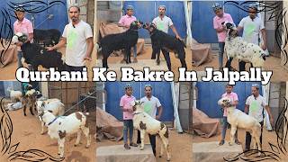 Qurbani Ke Bade Janwar Available @ Al Umrah Goat Farm | Farm Ke Pale Hue Bakre Jalpally Hyderabadi