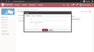 Student View - Submit an Assignment Online