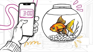 InstaDoodle Sample 🐡 Why Whiteboard Videos Work So Well⁉️