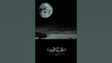 قال فمن ربكما ياموسى سورة طه القارئ عبد الرحمن مسعد قران كريم مريح للاعصاب