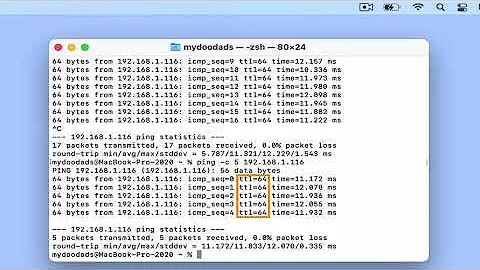 Useful macOS network terminal commands - Run a Ping test