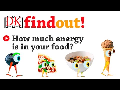 Video: Hvilke af følgende er energiproducerende næringsstoffer?