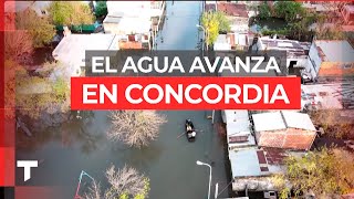 EL AGUA AVANZA EN CONCORDIA: el río Uruguay superó los 13 metros de altura