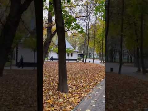 Михайло Хома Мені не спиться 