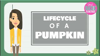 Lifecycle Of A Pumpkin For Kindergarten and First Grade