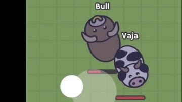 【Moo Moo.io】it is  a Noob Player…