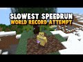 Minecrafts Slowest Speed Run Attempt (Current Record: 3 Hours)