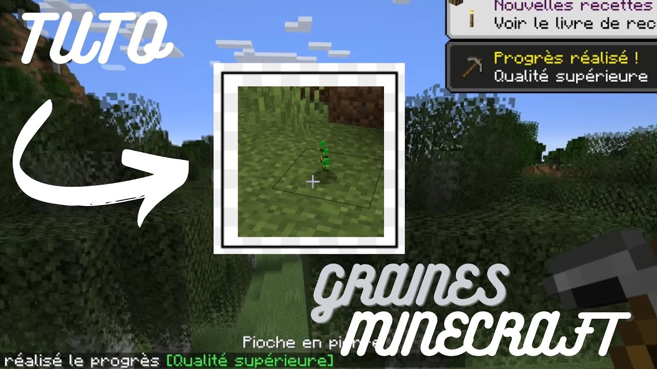 TUTO COMMENT OBTENIR DES GRAINES SUR MINECRAFT (tuto débutant) - YouTube