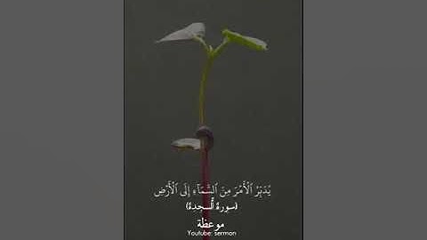 أفلا تتذكرون 💙سورة السجدة