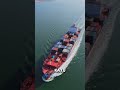 Thought It Was an Escape from a Container... Turns Out It Was an Extreme Job! 😳 #shortvideo #vira...