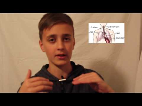 How to Burp on Command Using SCIENCE! *Legit how to video!*