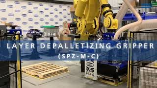 Vacuum Automation Systems - Layer Depalletizing Gripper (SPZ-M-C)