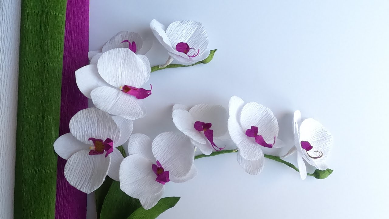 制作褶皱纸花艺蝴蝶兰-DIY Paper Flower Phalaenopsis Orchid- Orchid Paper Flower-Paper Craft