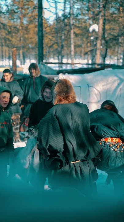 Суровые мужчины арктического края #олени #ямал #крайнийсевер #тундра # ...