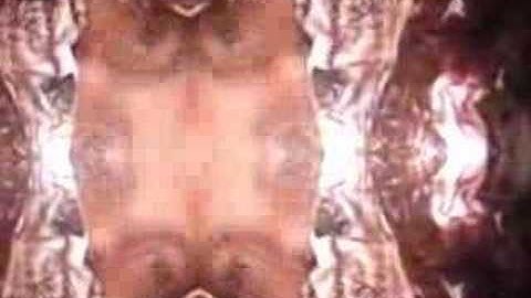 Analog-Digital Video Experiment no.2