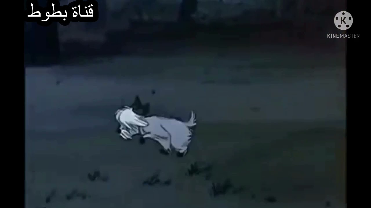 كرتون الكلب بنجر وبهيره بلعربي Youtube 