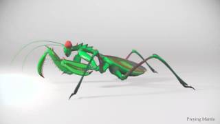 Preying Mantis Turntable