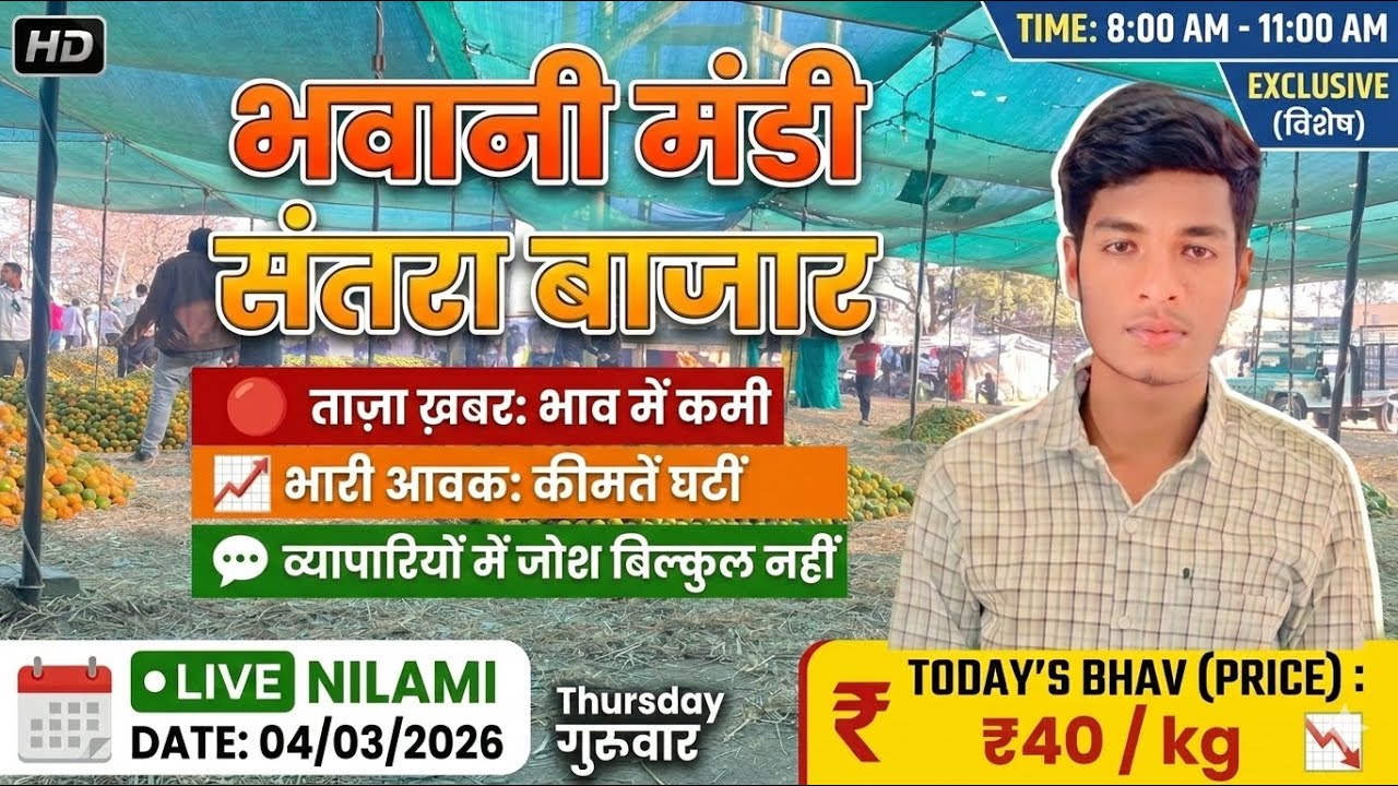 🔥 Bhawani Mandi Update: Aavak hui kam, Levali mein bhari josh! Aaj ke taaza bhav.