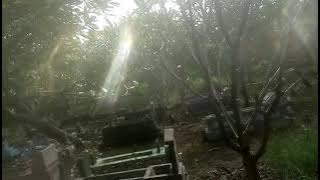 MENGEJUTKAN!!!!!! KOMANDAN TEMPUR ADIPATI DJOYONEGORO ADA DI MAKAM JURIT CERME,,,SIAPAKAH BELIAU??