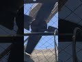 Cooling Tower #electricaltesting #electrician #electrical #coolingtower #electrician #accircuits