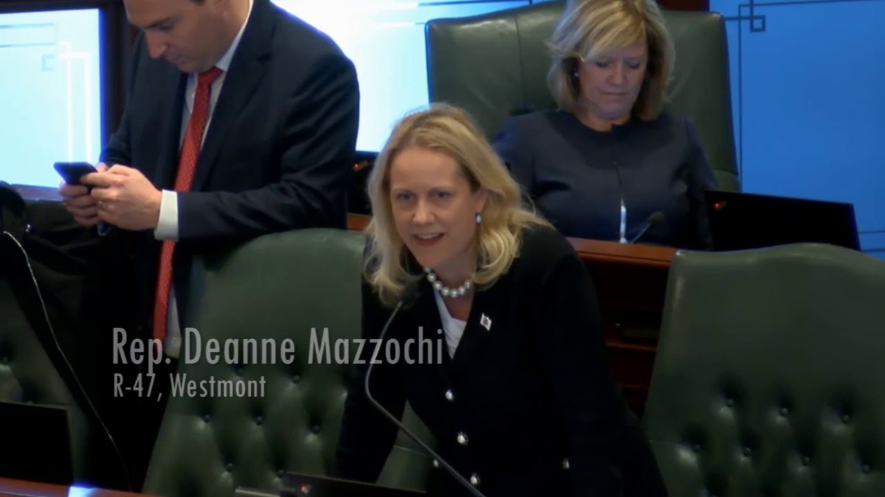 illinois general assembly statutes Rep. Mazzochi (R-Elmhurst) stands up against pay raises for political appointee.