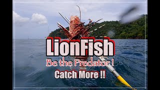 Intro to Lionfish Hunting : Pole Spears, Zookeepers, Handling and Cooking Tobago WI